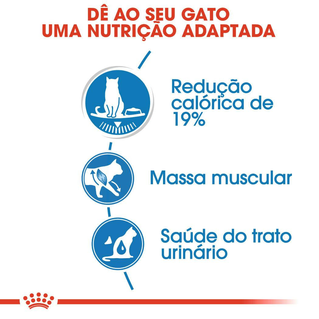 Imagen 6