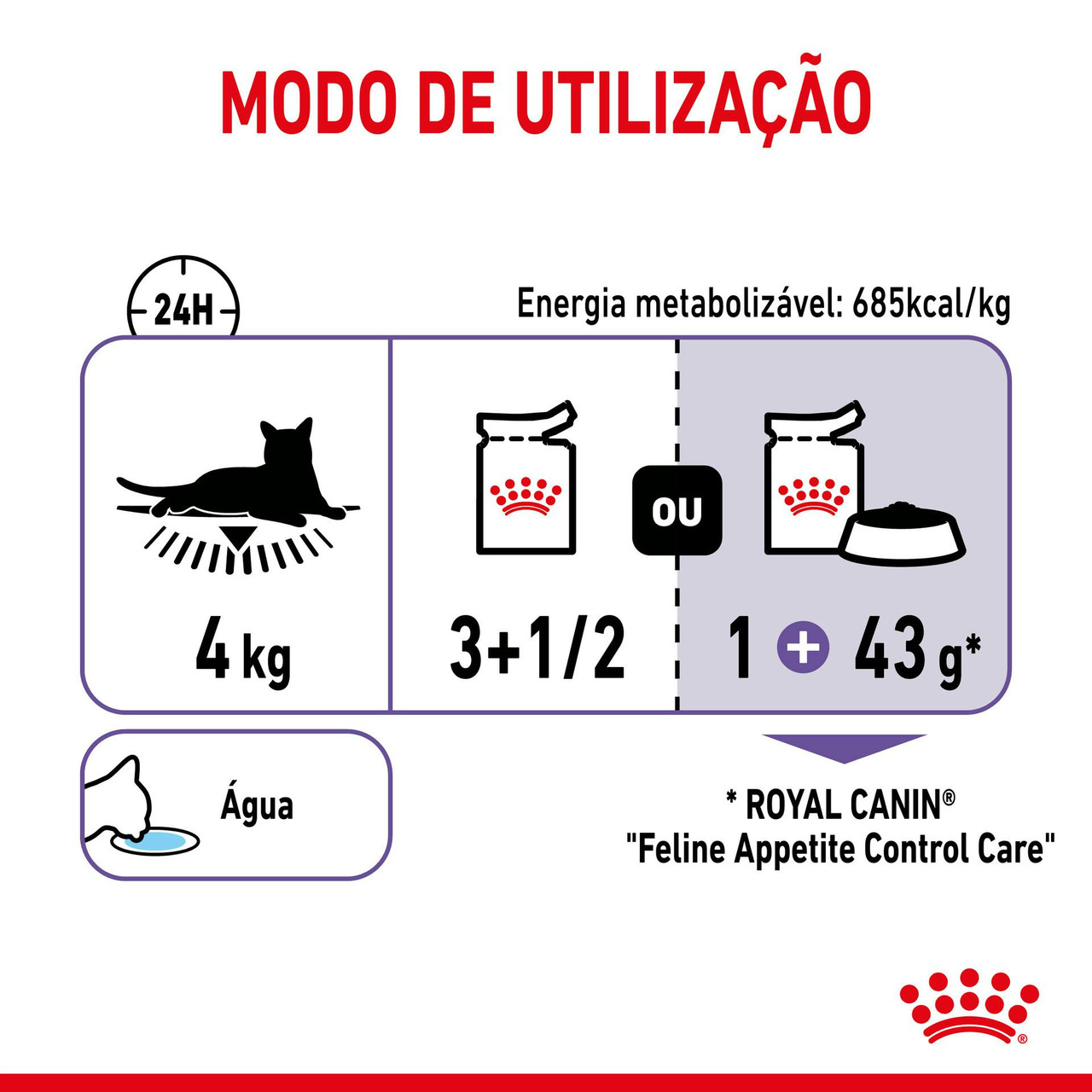 Imagen 7