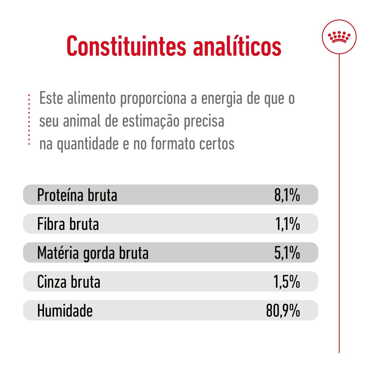 Imagen 7