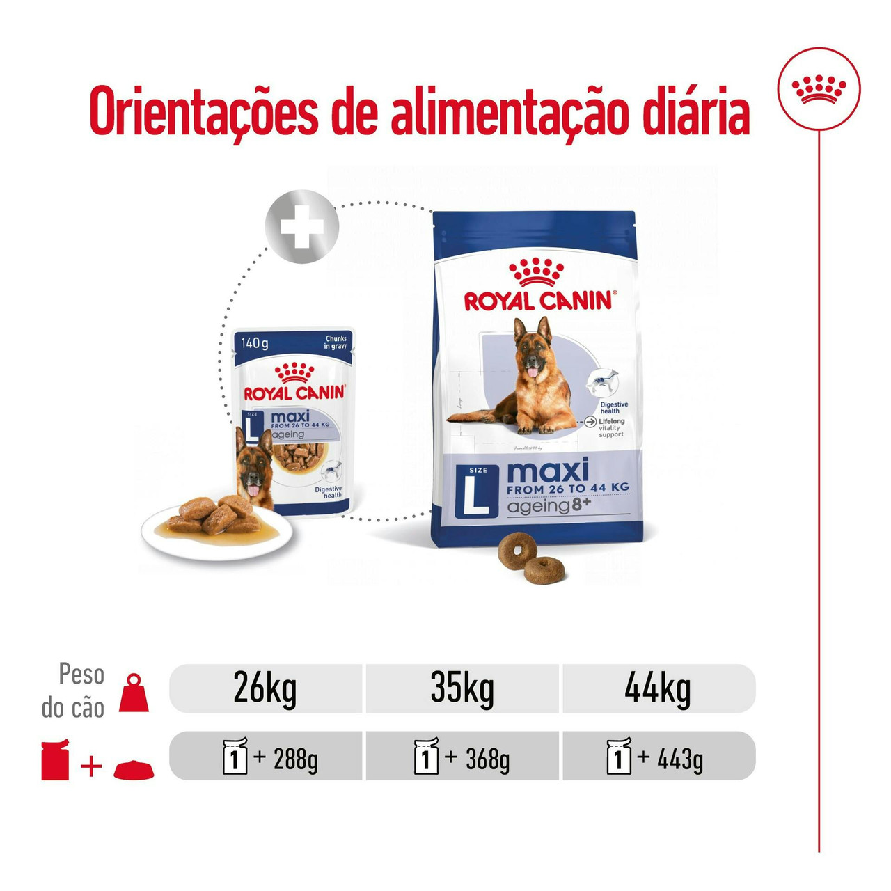 Imagen 8