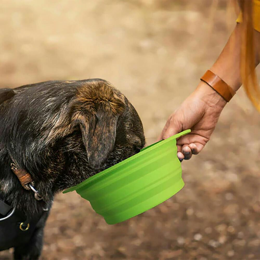 Beco Bowl Travel Bowl Green for Dogs