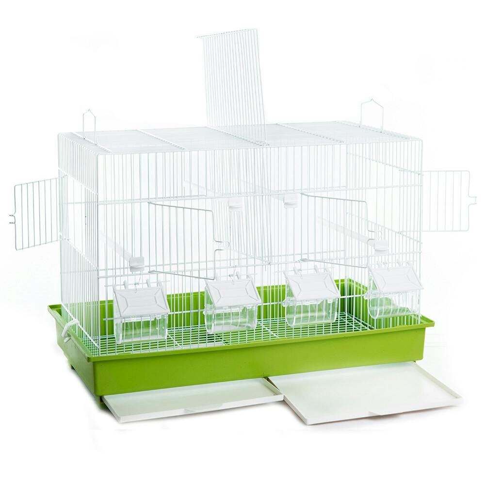Image 2