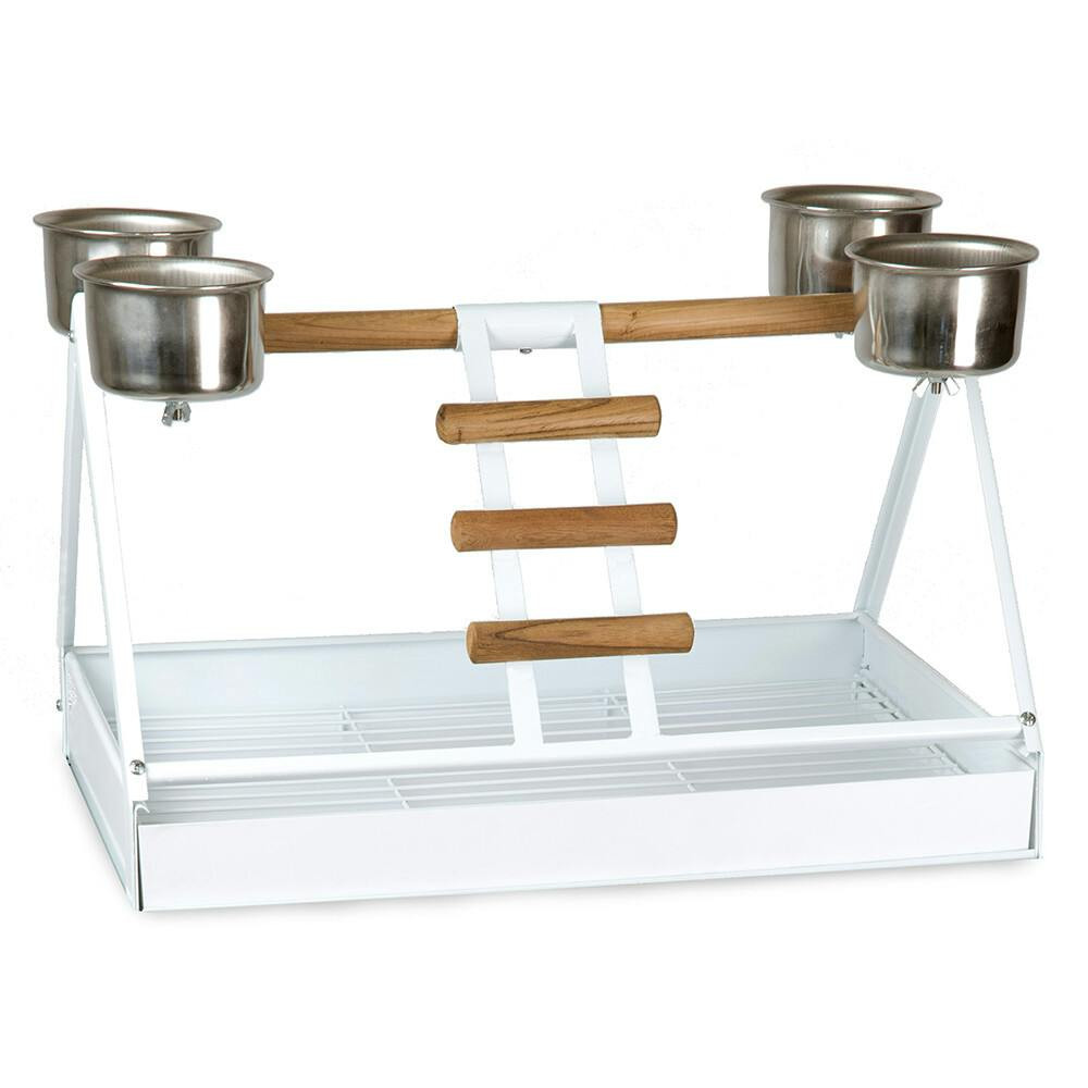 Luso perch for parrot