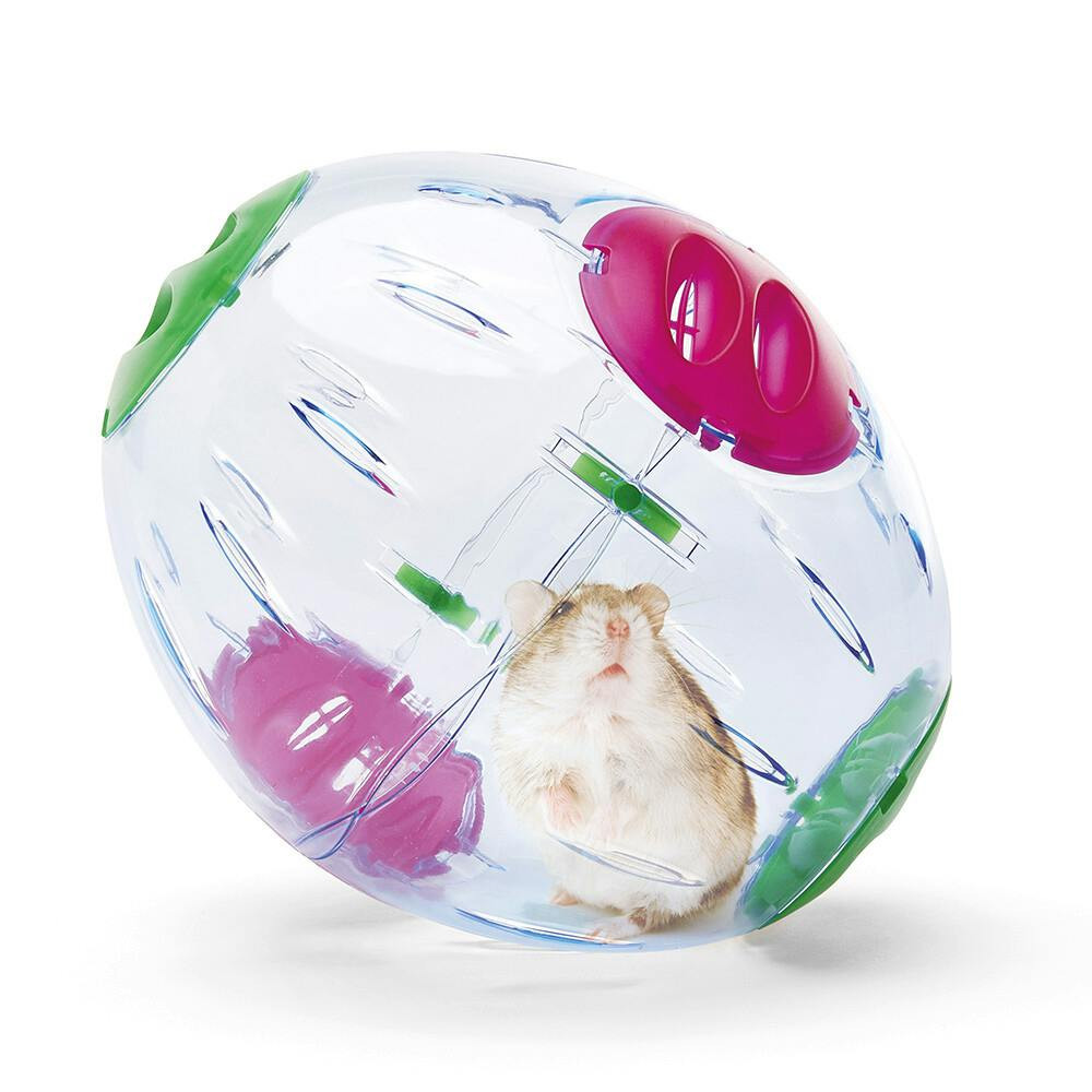 Hamster exercise ball