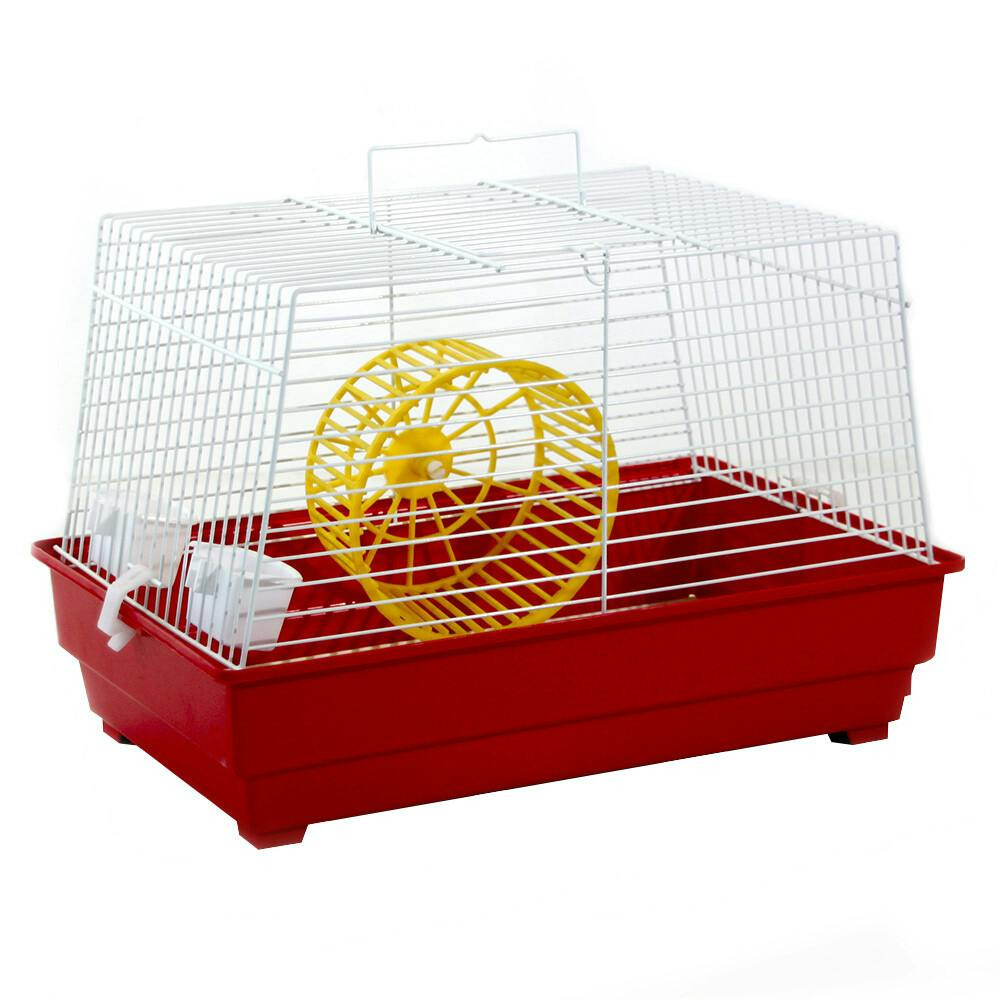 Image 1