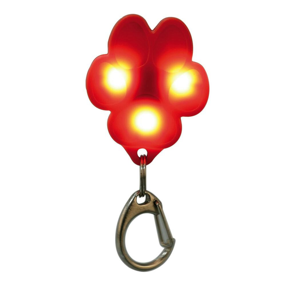USB rechargeable flashing light for dogs