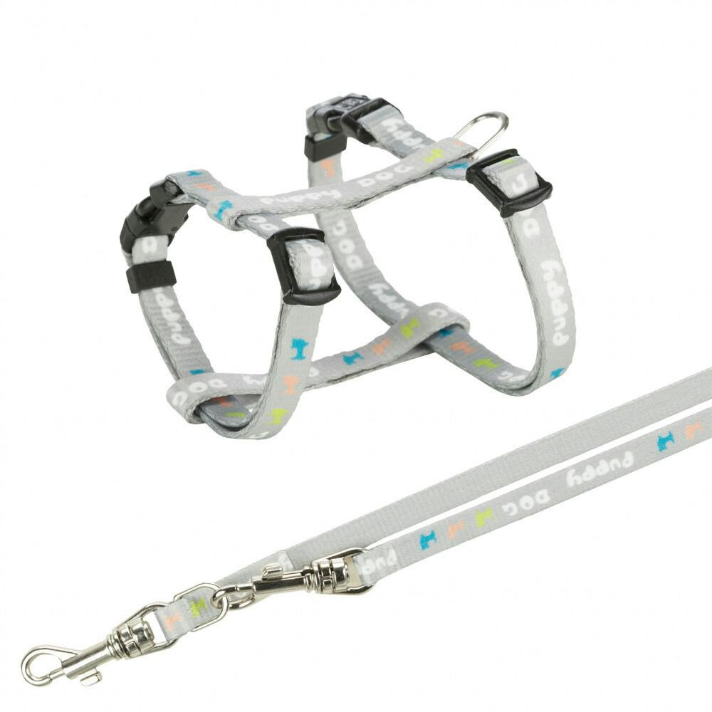 Arnés ajustable con correa para perro 23–34 cm / 8 mm gris