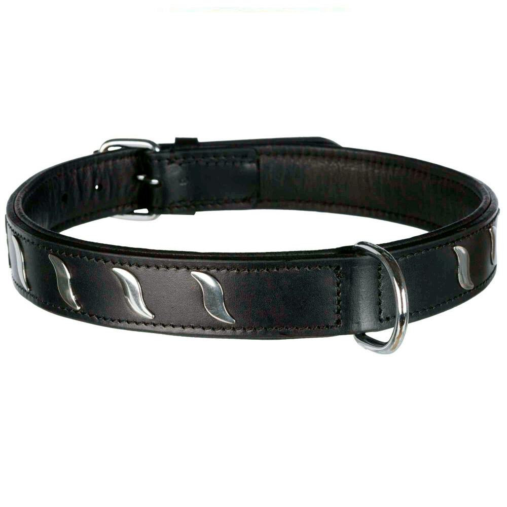 Collar Active con detalles metálicos para perro