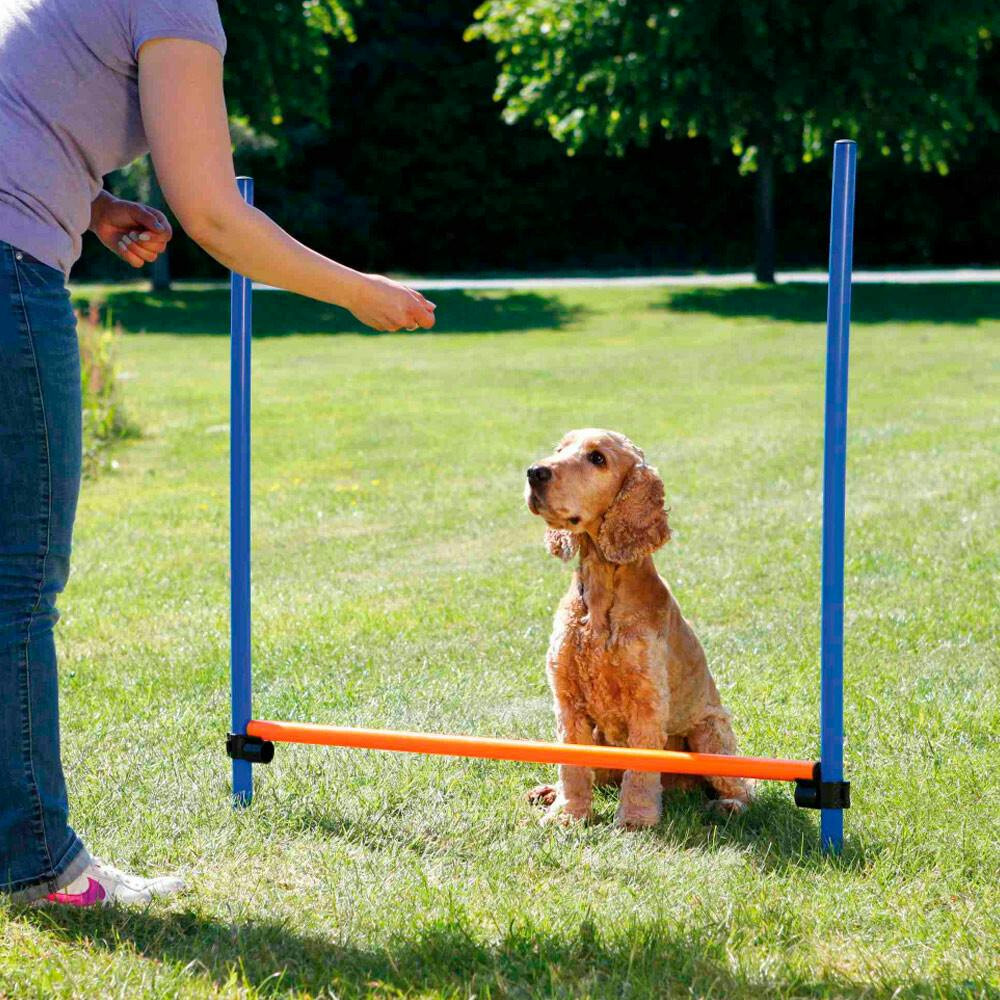 Valla de agility ajustable para perros