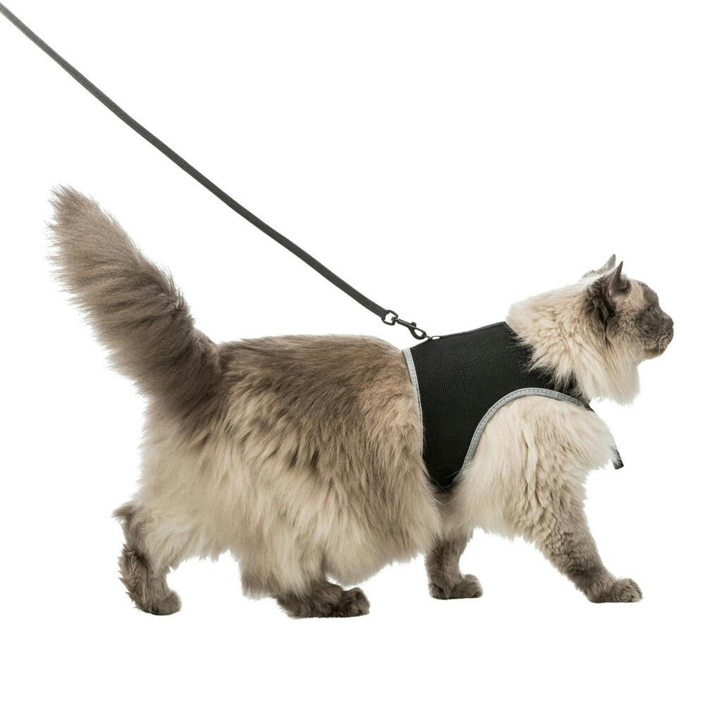Nylon harness and leash for cat XXL