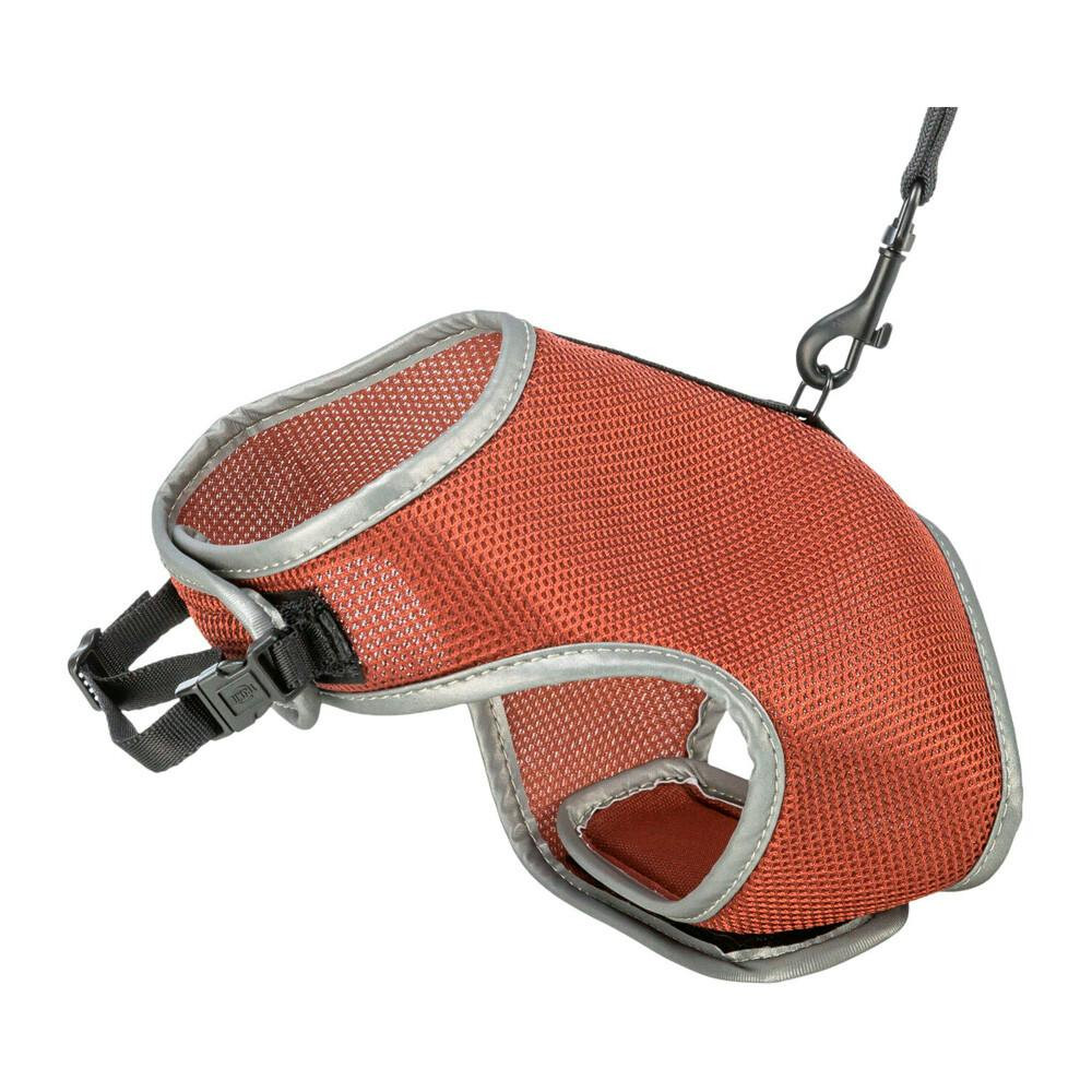Nylon harness and leash for cats 24-42 cm rust