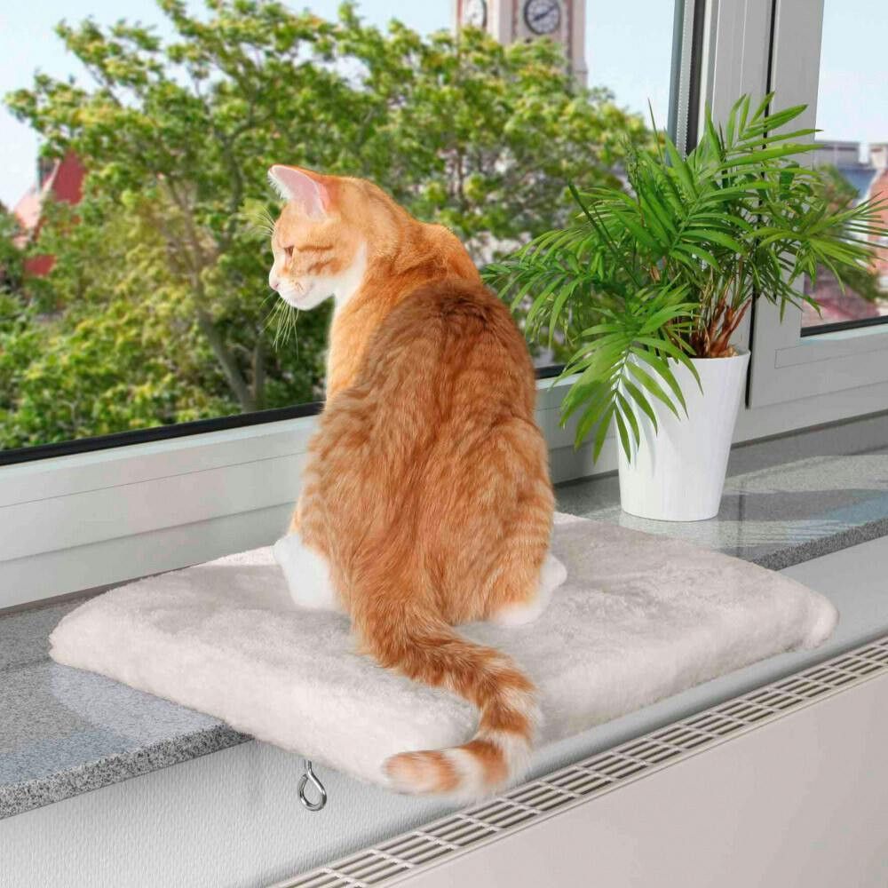 Window-mounted cat bed with suction cups, plush lining