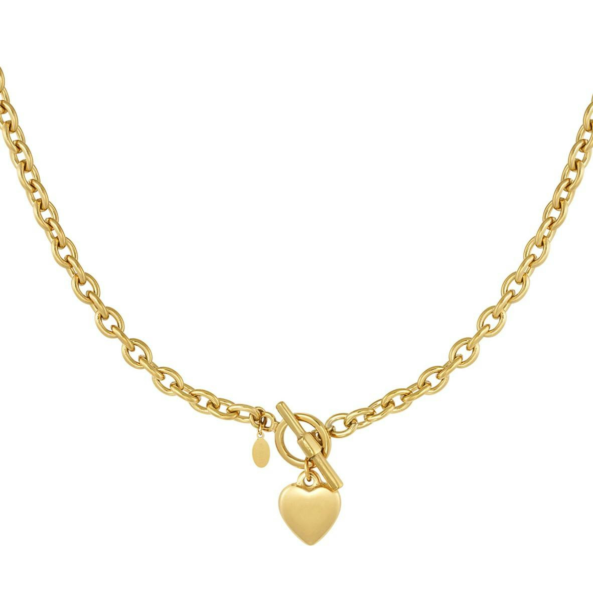 Heart pendant necklace in stainless steel