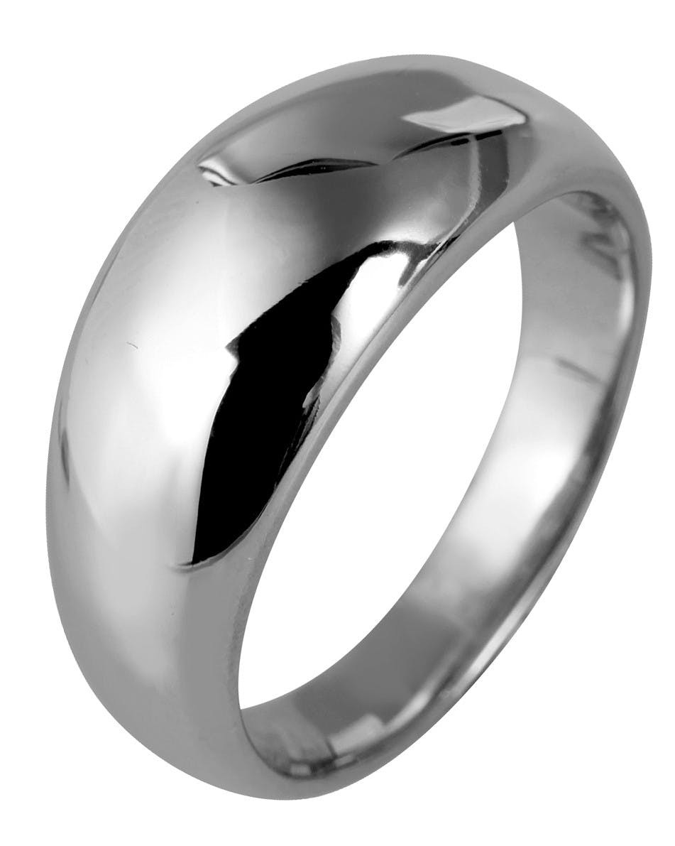 Lepa Stainless Steel Silver Ring