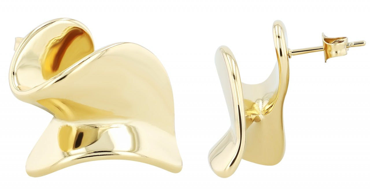 Valentine stainless steel earrings