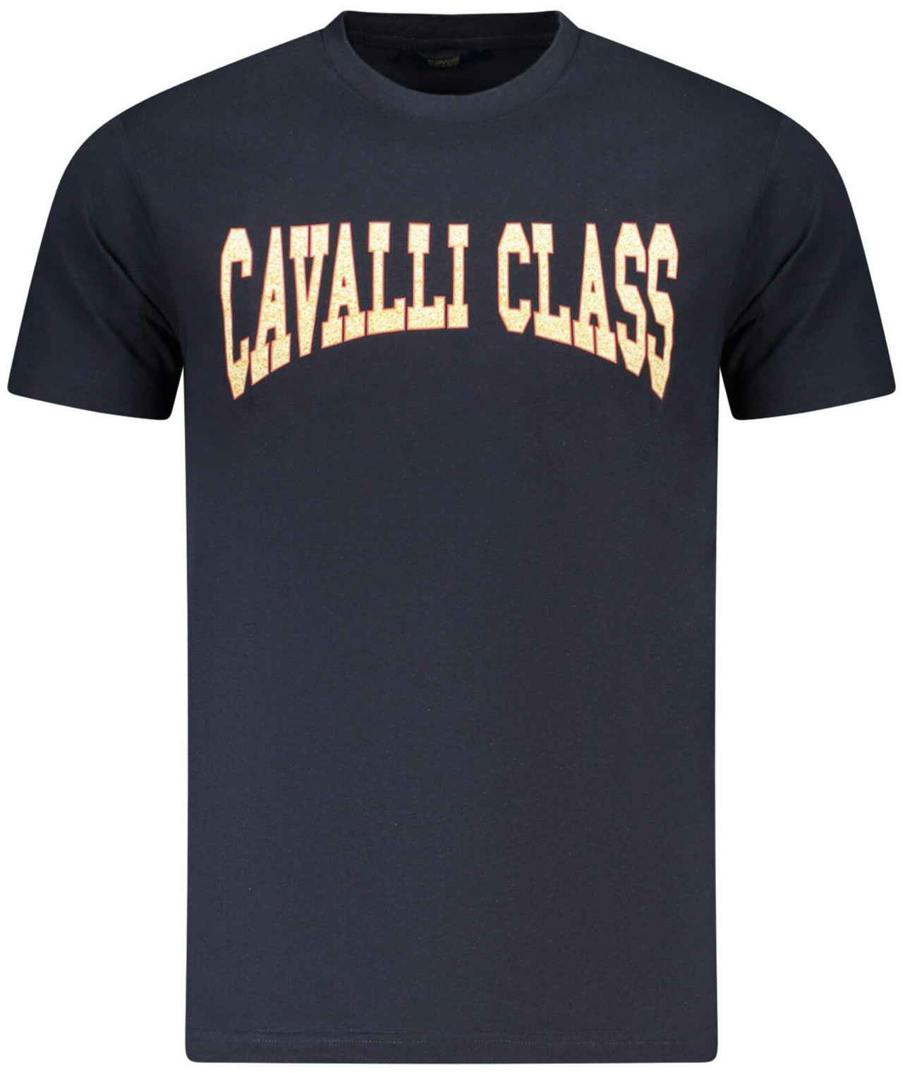 Men's blue cotton t-shirt