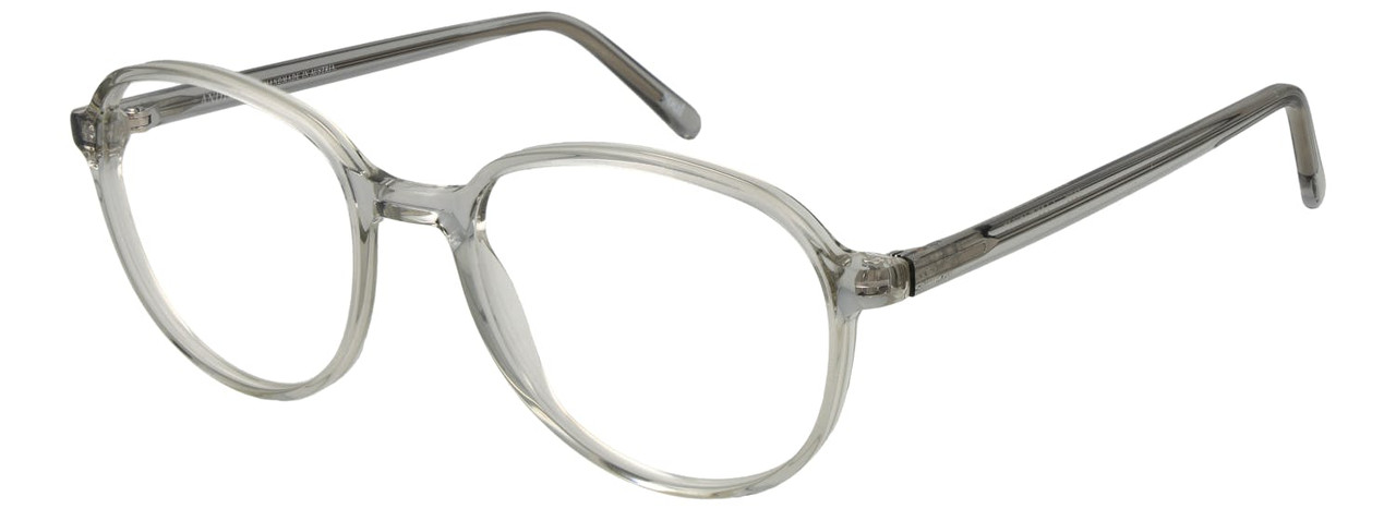 Montura óptica Panto acetato transparente