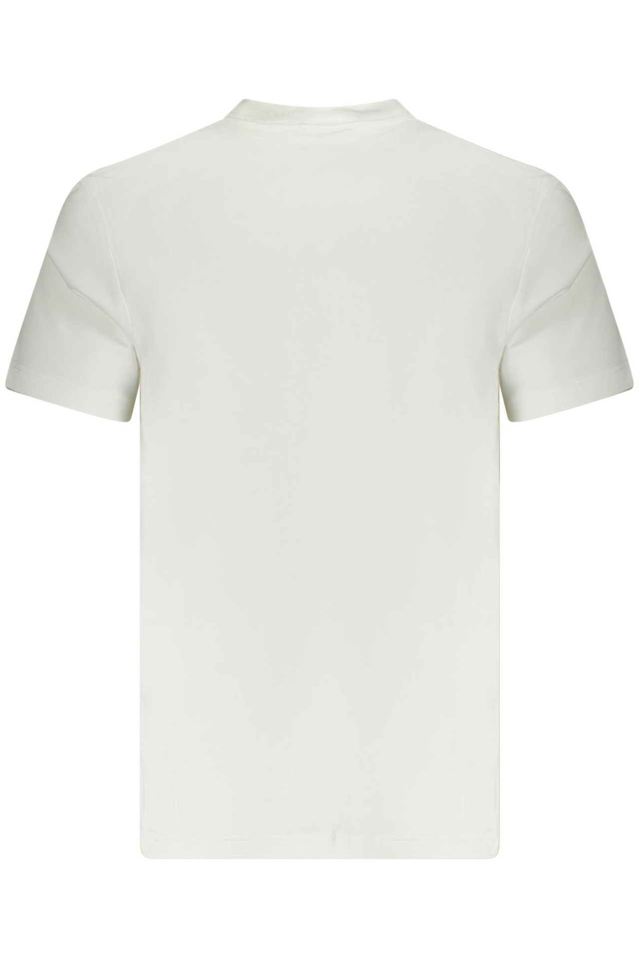 Imagen 2