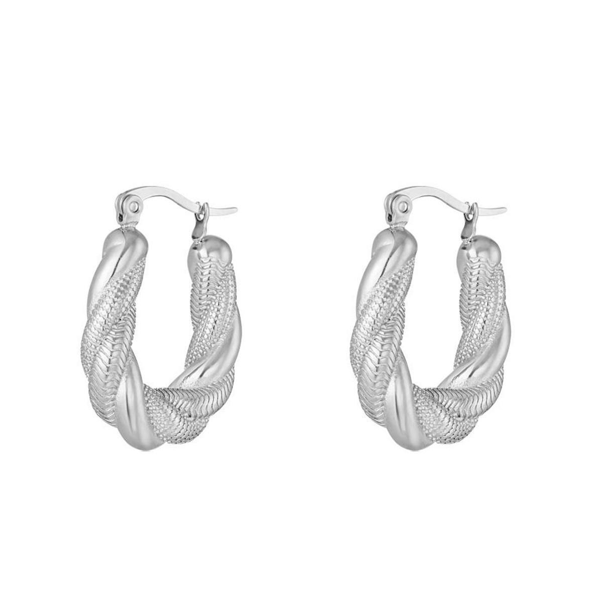 Silver stainless steel earrings