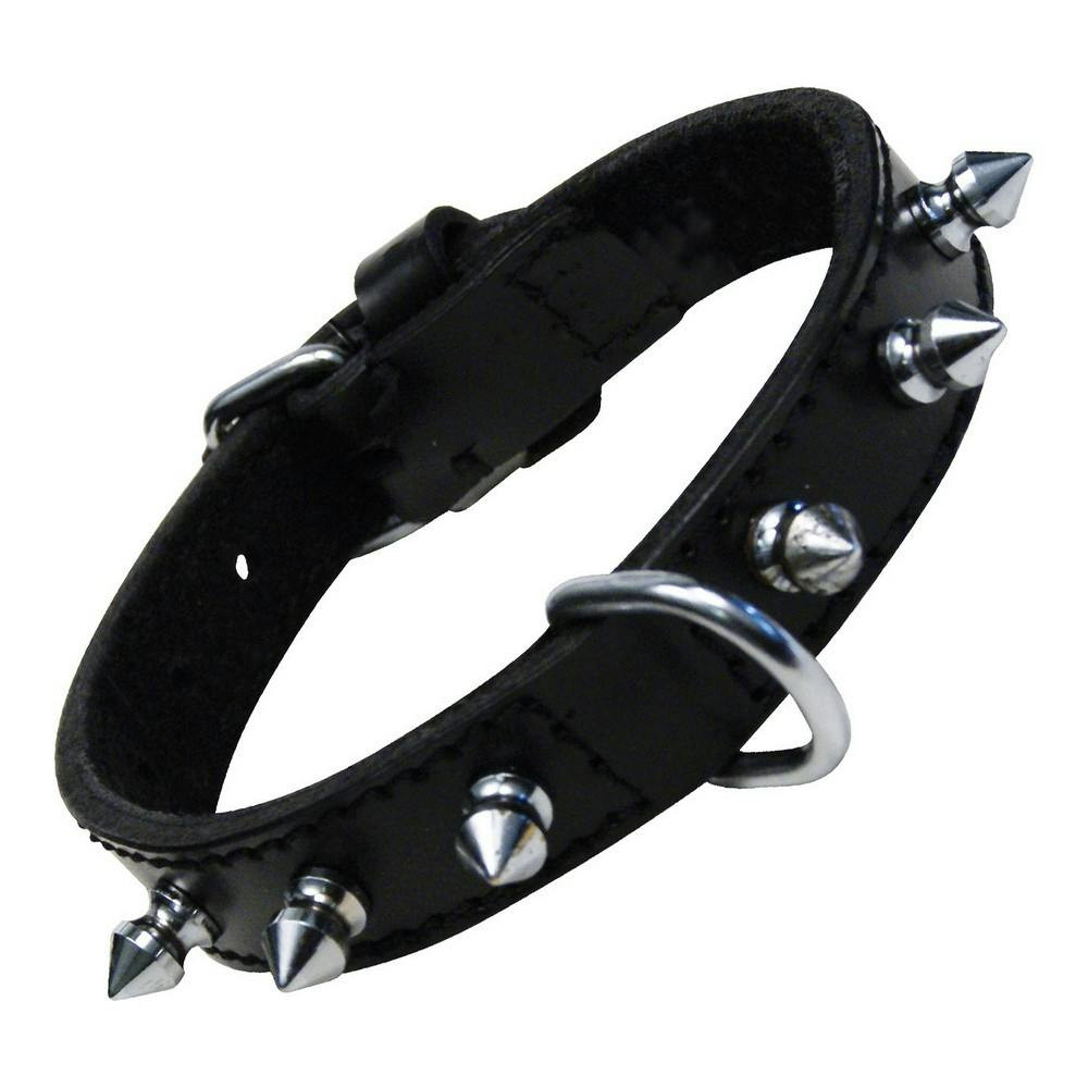 Collar para perro con tachuelas negro