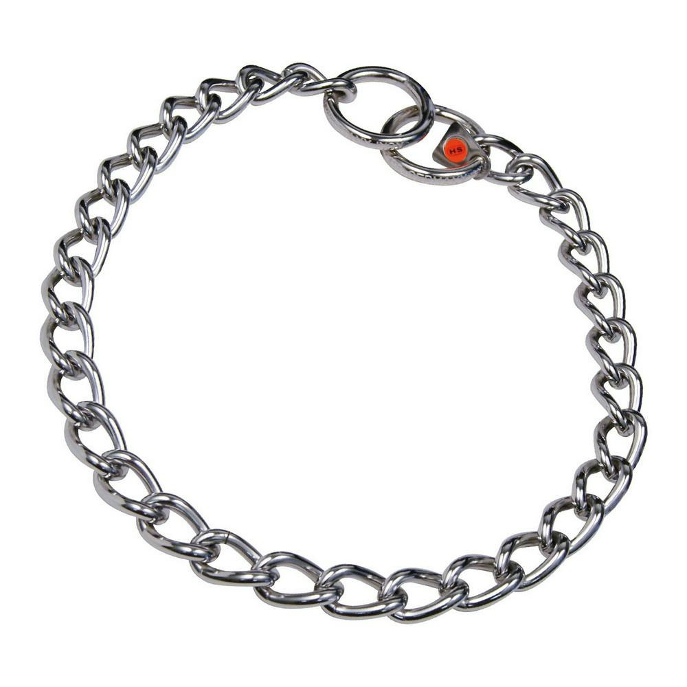 Stainless steel collar for dog