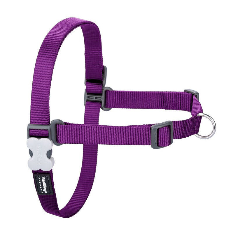 Arnés para perro Red Dingo morado