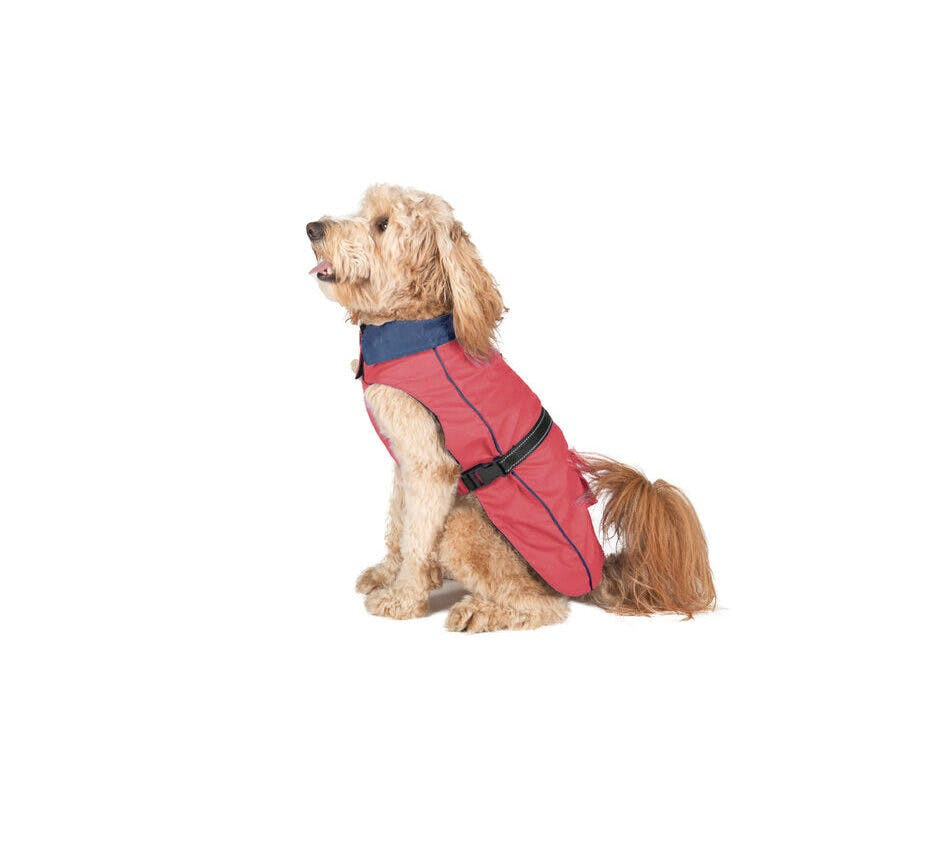 Gabardina coral para perro