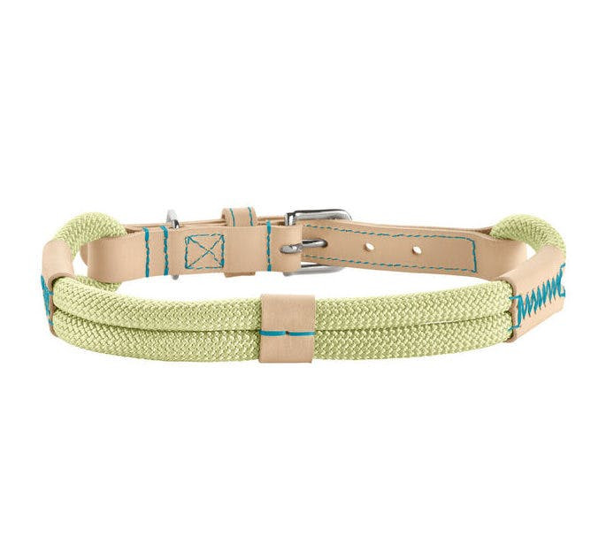 Collar MALIA para perro verde