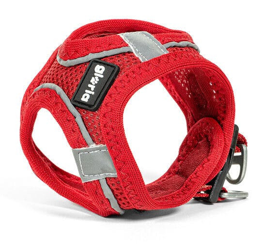 Arnés Trek Star para perro rojo