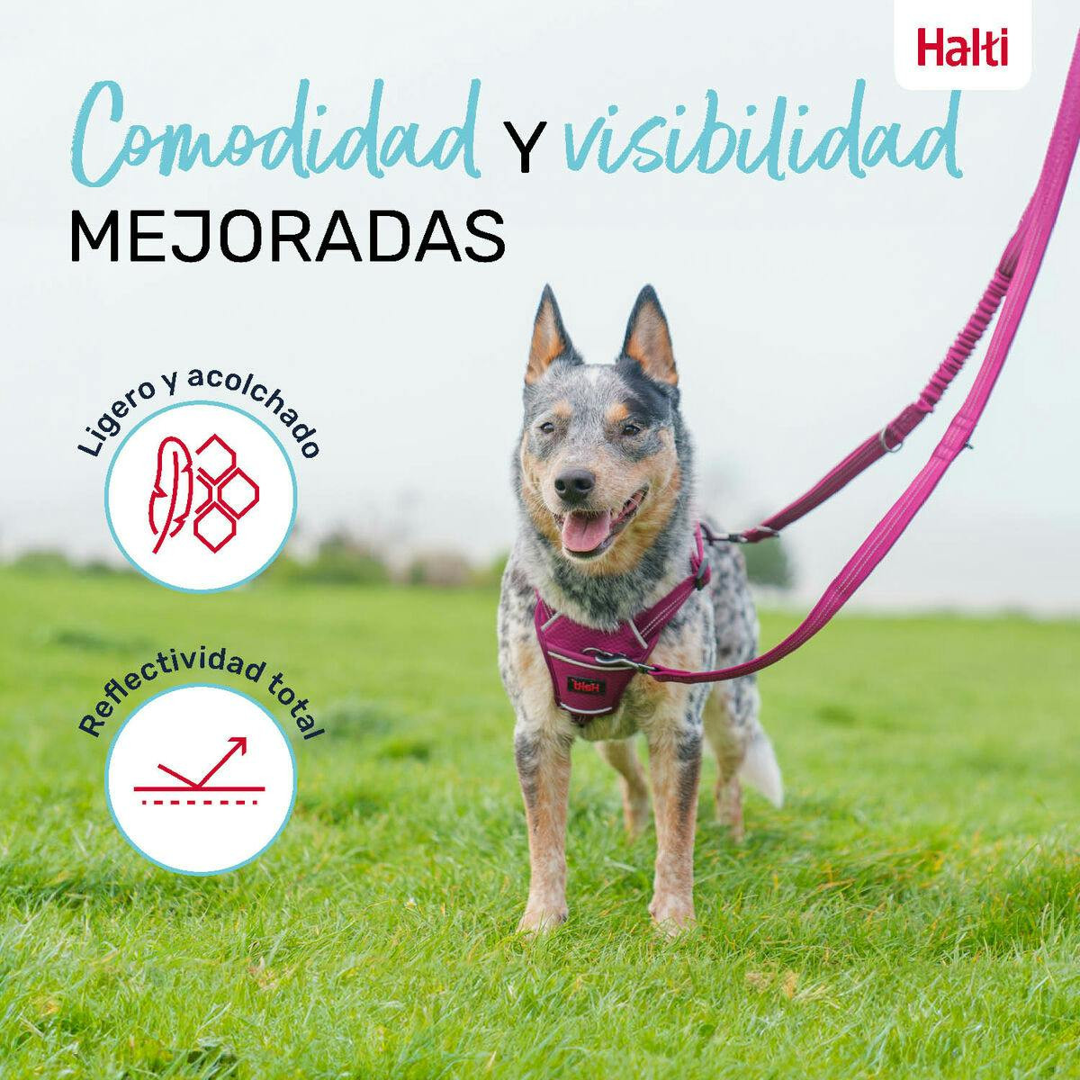 Imagen 3