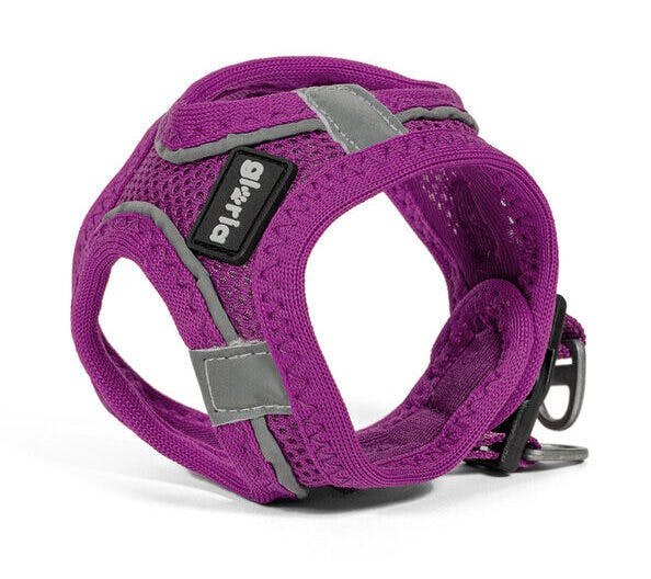 Arnés Trek Star para perro Morado
