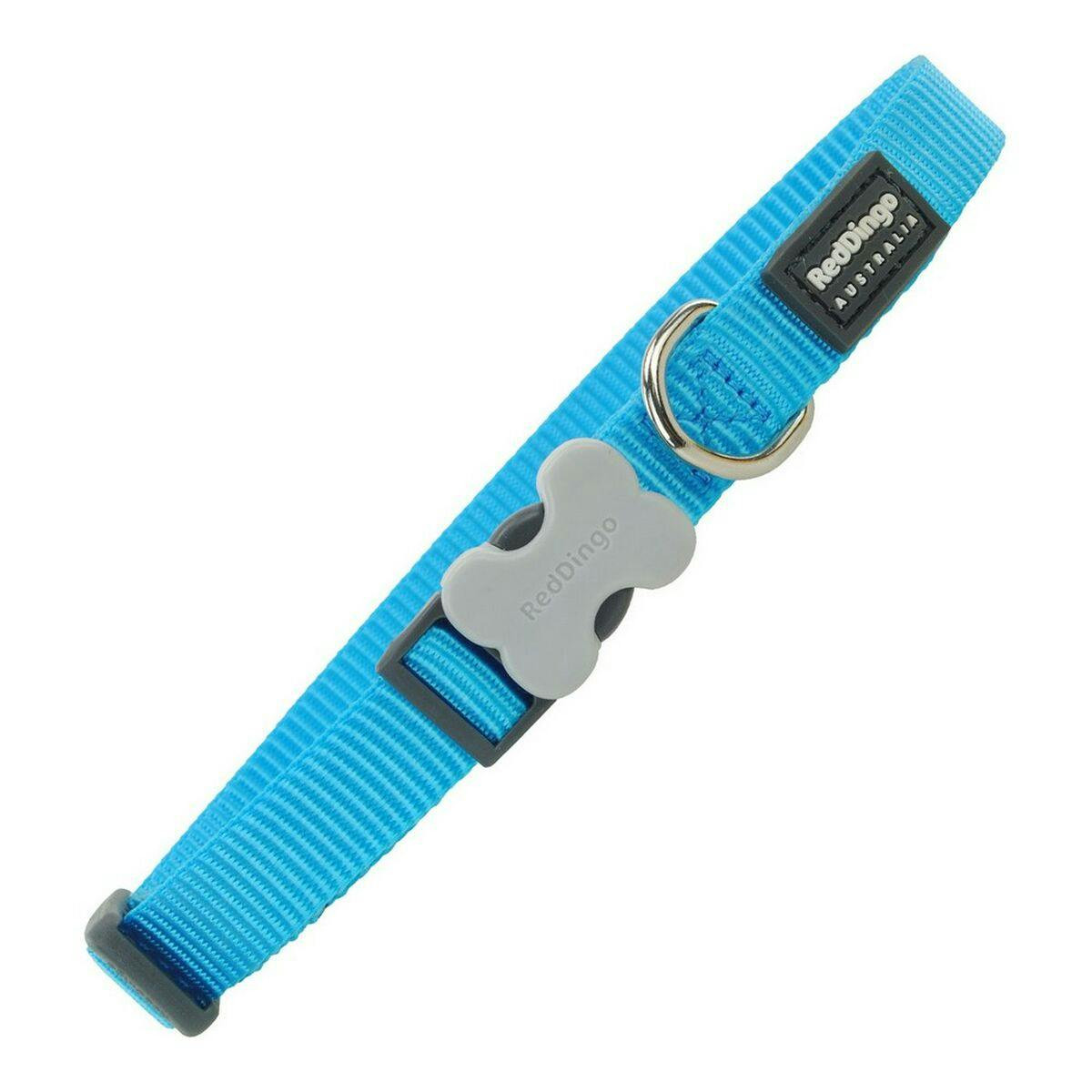 Plain turquoise dog collar