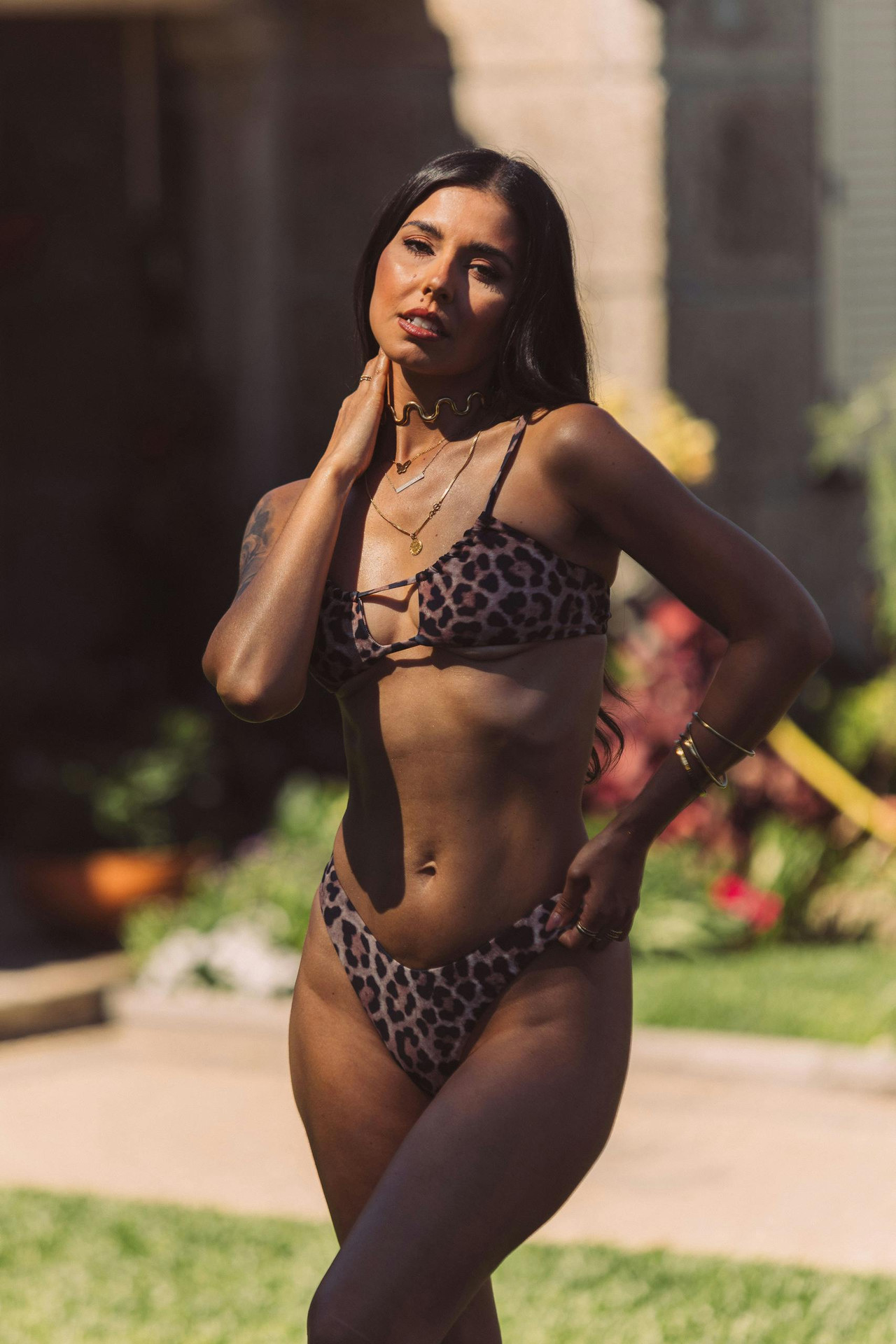 Selene bra top and Crush V briefs brown leopard print
