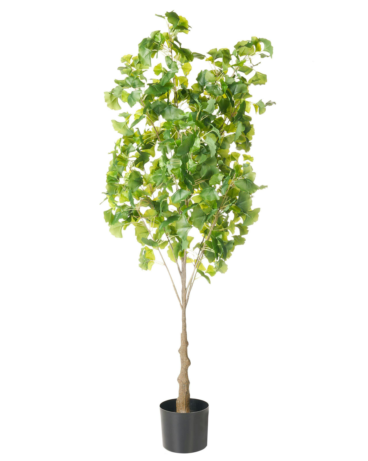 Planta artificial  GINKGO TREE 150 cm Verde