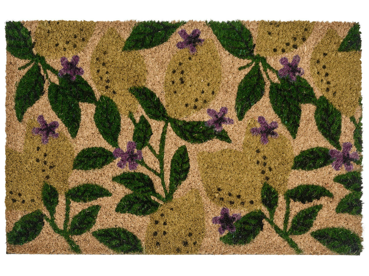 Entrance mat TAZLINA coconut fibre Multicolor