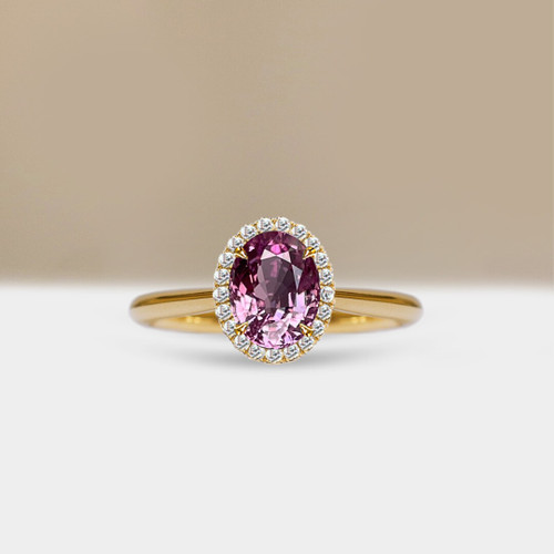 S810-ZOE-YG-NVST3377.jpg