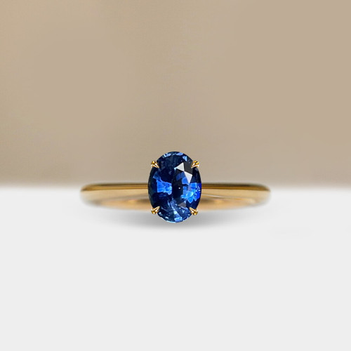 S826-CELINE-YG-NVST3421.jpg