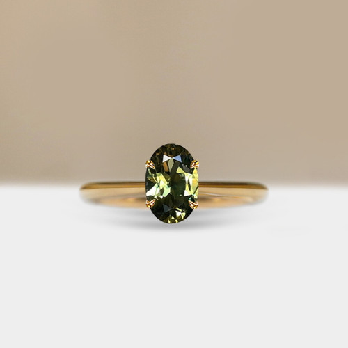 S826-CELINE-YG-NVST3837.jpg