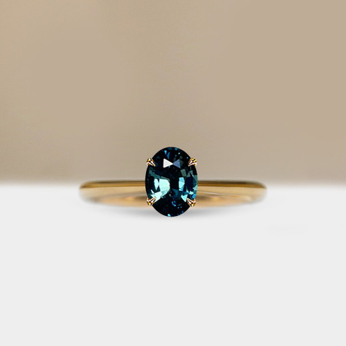 S826-CELINE-YG-NVST3847.jpg