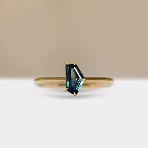 S826-CELINE-YG-NVST3808.jpg