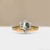 S818-IRIS-YG-NVST1397.jpg