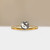 S804-VICTORIA-YG-NVST1558.jpg