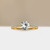 S804-VICTORIA-YG-NVST1592.jpg