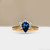 S818-IRIS-YG-NVST2223.jpg