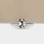 S826-CELINE-WG-NVST3367.jpg