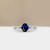 S822-ARIA-WG-NVST3555.jpg