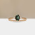S811-FAYER-RG-NVST3604.jpg