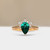 S818-IRIS-RG-NVSTE3612.jpg