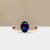 S806-ALICE-RG-NVSTL3700.jpg