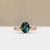 S822-ARIA-RG-NVSTL3692.jpg